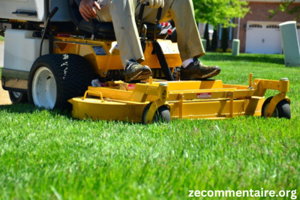 Seasonal Lawn Care: How Cheap Lawn Service Can Help You Stay on Track