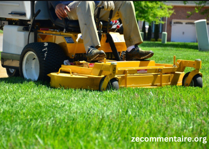 Seasonal Lawn Care: How Cheap Lawn Service Can Help You Stay on Track