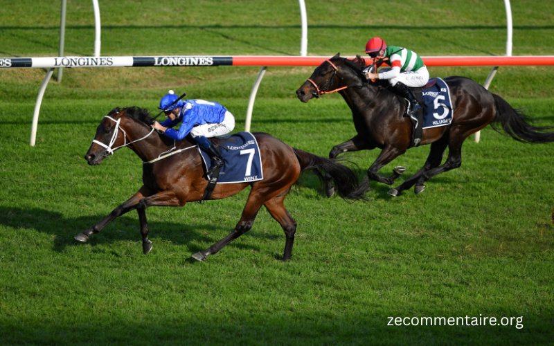 Equidia Turf Pronostic
