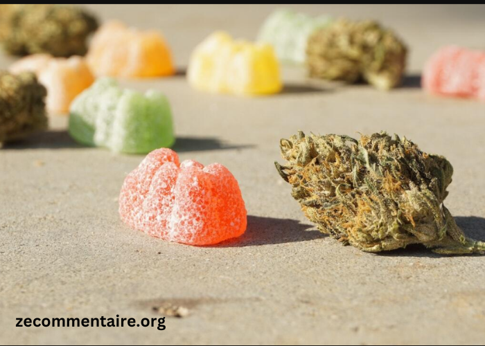 How to Choose the Right Cannabis Gummies for Your Needs