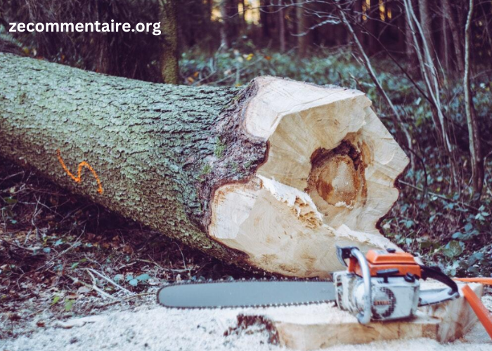 Log Cutting for Beginners: Essential Safety Tips and Tricks