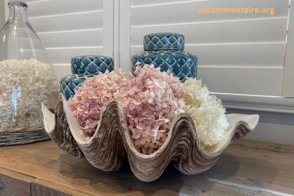 Three Ways in Which a Giant Clam Shell Can Be Used As a Decorative Piece in Your Home