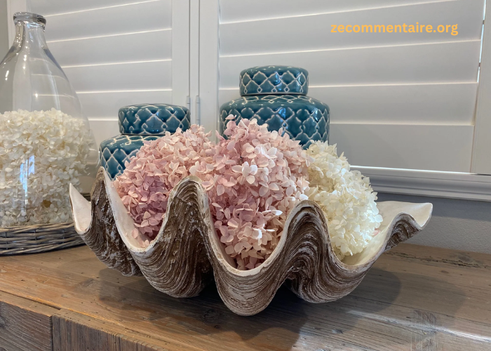 Three Ways in Which a Giant Clam Shell Can Be Used As a Decorative Piece in Your Home