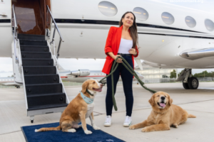 Creating a Pet-Friendly Travel Experience – Tips for Jet-Setting with Your Furry Friends