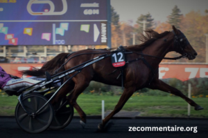 Cheval DE Base Prono