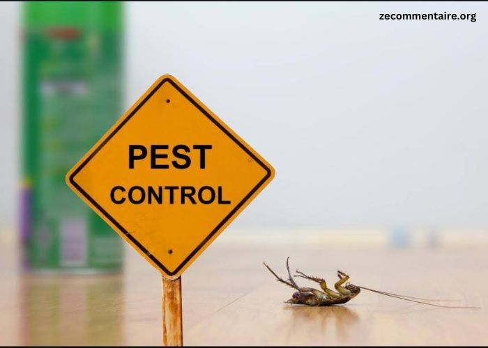 Eco-Friendly Pest Control Solutions for Sustainable Living