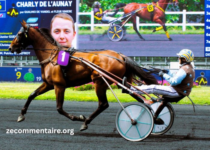 Pronostic DE Demain