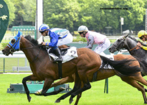 Pronostic en or Gratuite