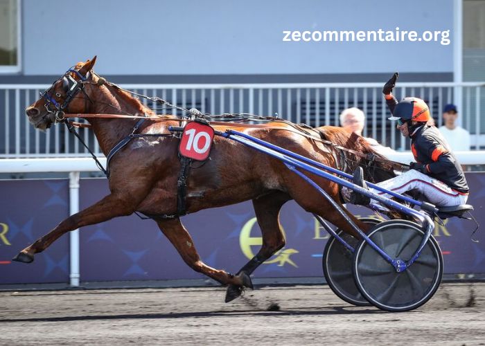 Carnet Gagnant Pmu
