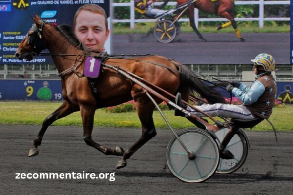 Les 3 Tocard