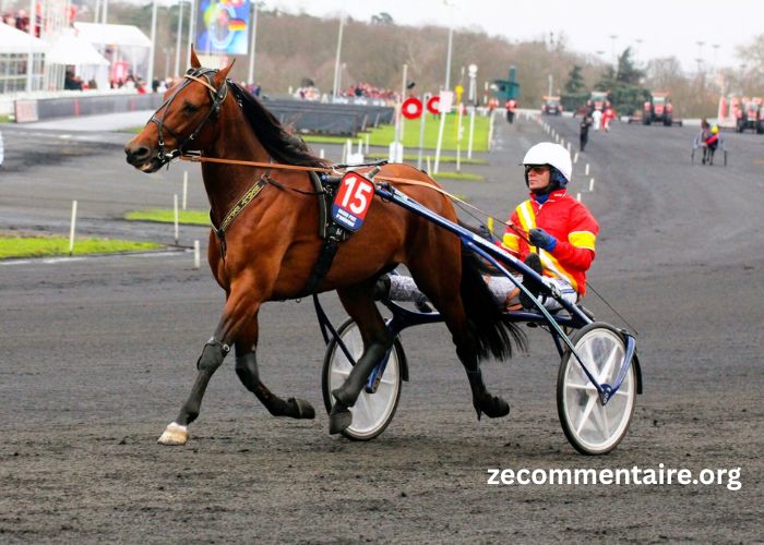 Pronostic Quinte Plus