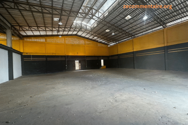 Why Renting a Warehouse In Pathumthani Can Address Your Space Problems In Thailand