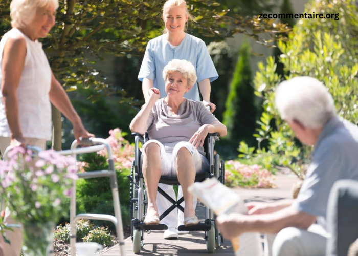 The Role of City Parks in Enhancing Senior Well-being