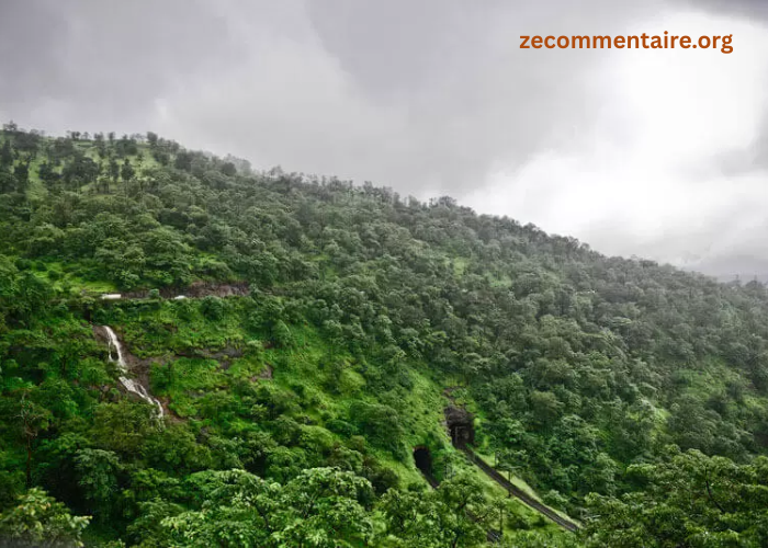 What are the important benefits of planning a trip to Igatpuri city?