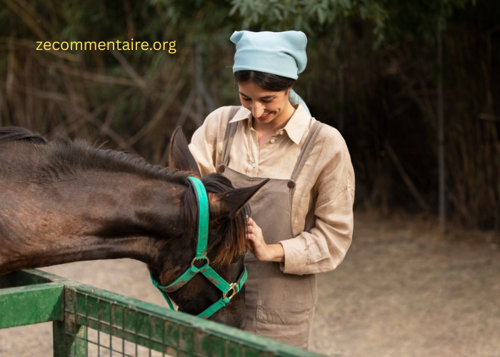 How Portable Veterinary Endoscopes Are Revolutionizing Horses’ Health Care