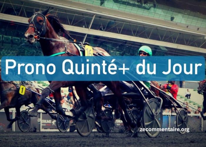 Turfiste – Pronostics PMU, Analyses Turf et Conseils Hippiques