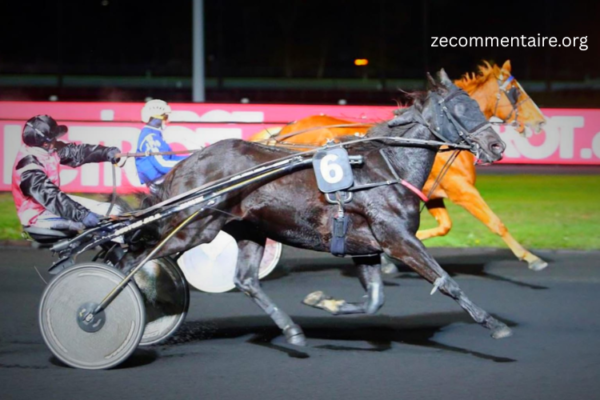 arcenturf gagnant