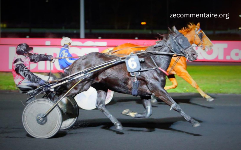 arcenturf gagnant