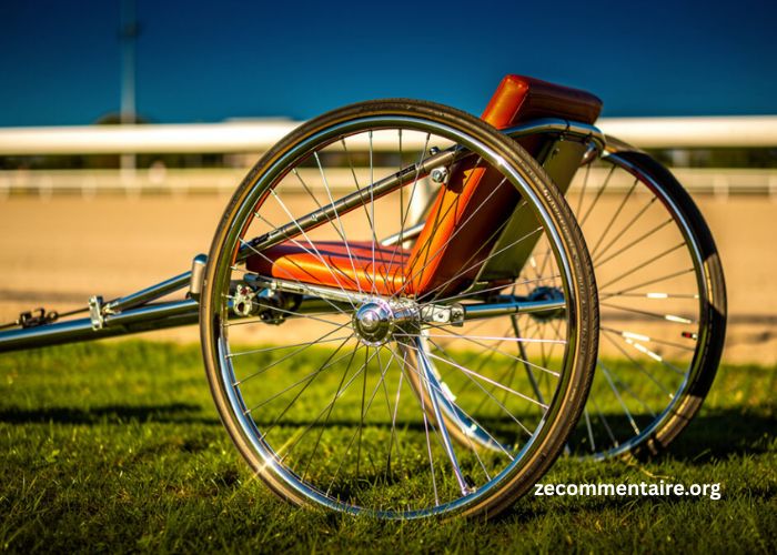 Filière Turf - Chiffres Clés, Métiers et Avenir du Secteur
